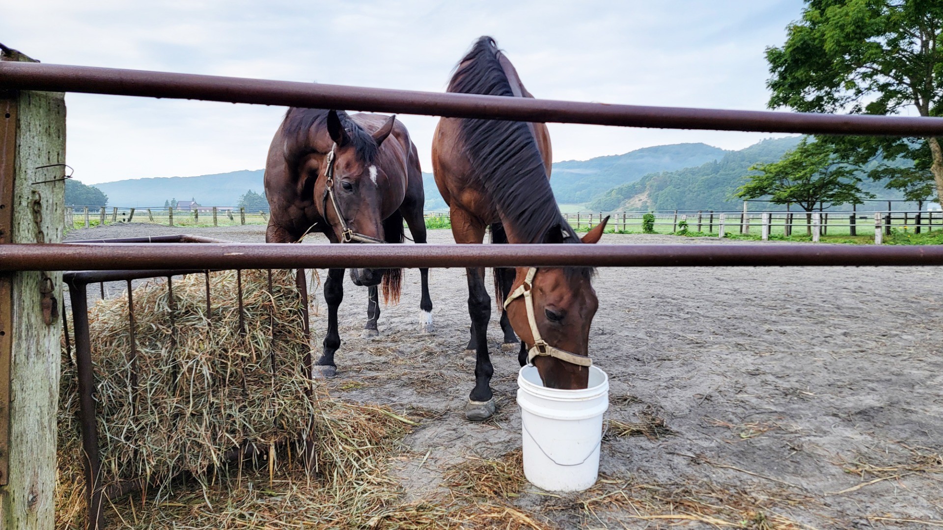 e666397d6ebba7c218f16a25e9fa0a9e-1760933995.jpg e666397d6ebba7c218f16a25e9fa0a9e-1760933995.jpg